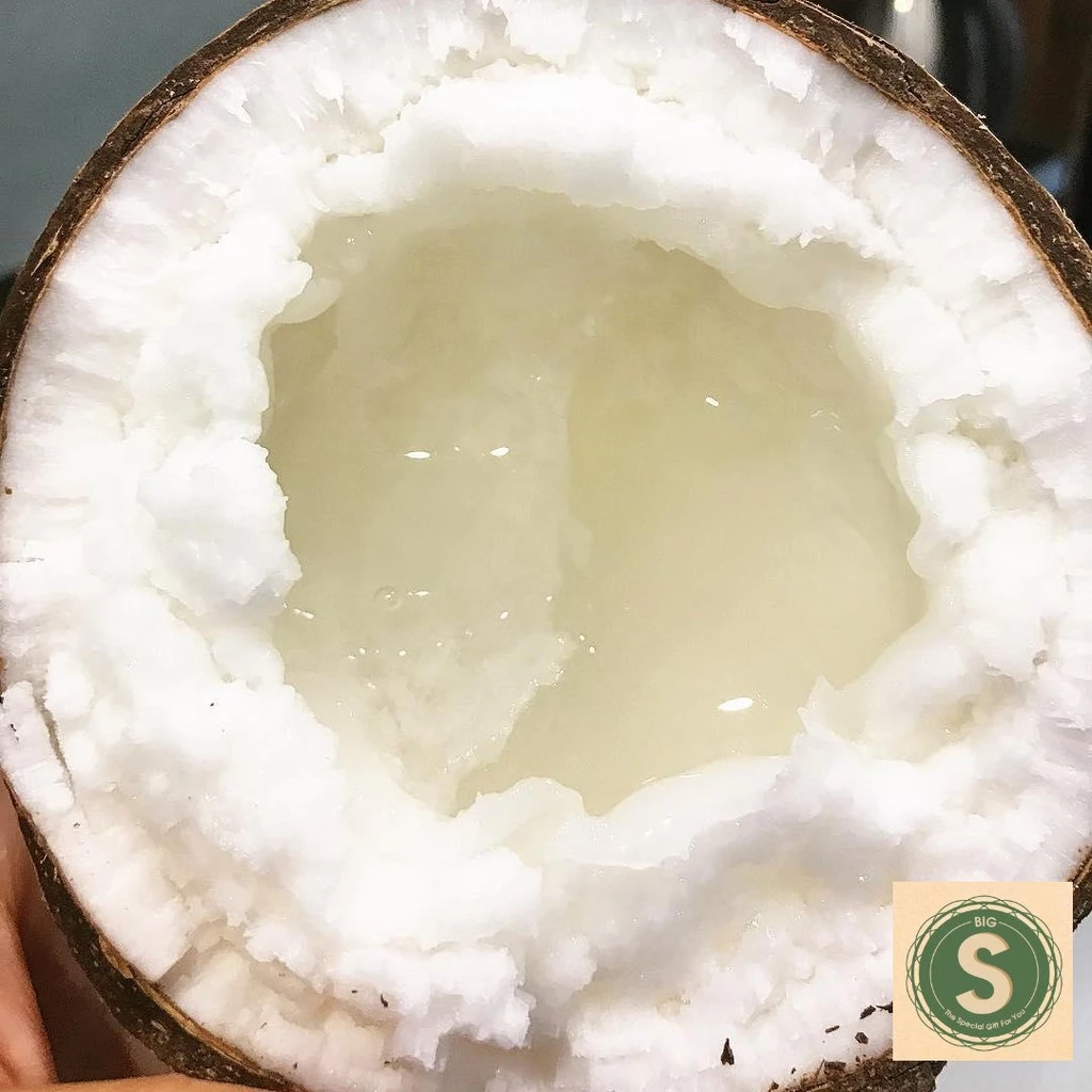 Dừa Sáp Đặc Ruột Tại Vườn/Big S Food - Giải nhiệt mùa hè