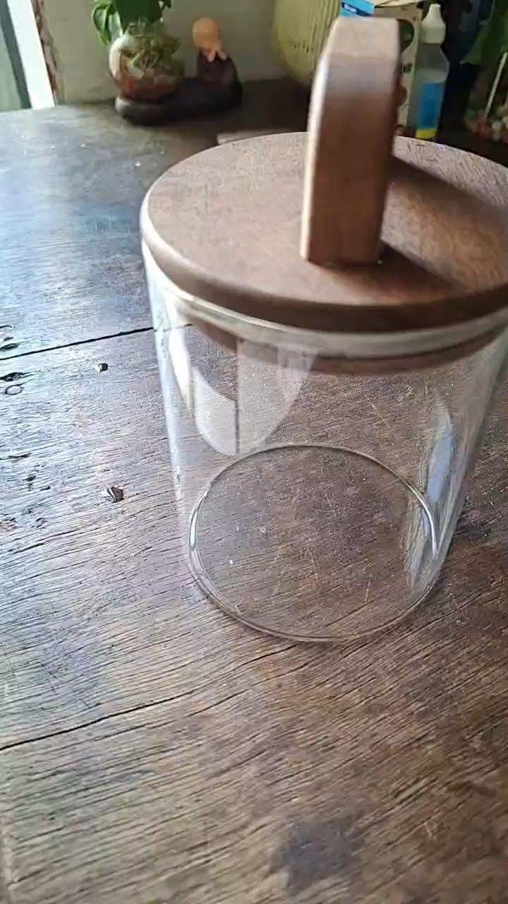 Video đánh giá