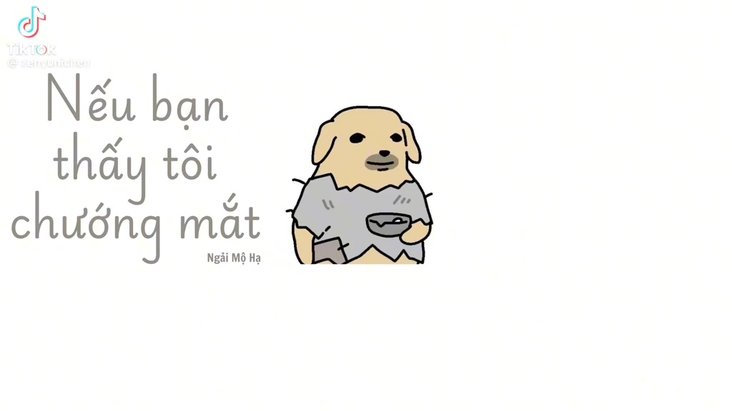 Video đánh giá