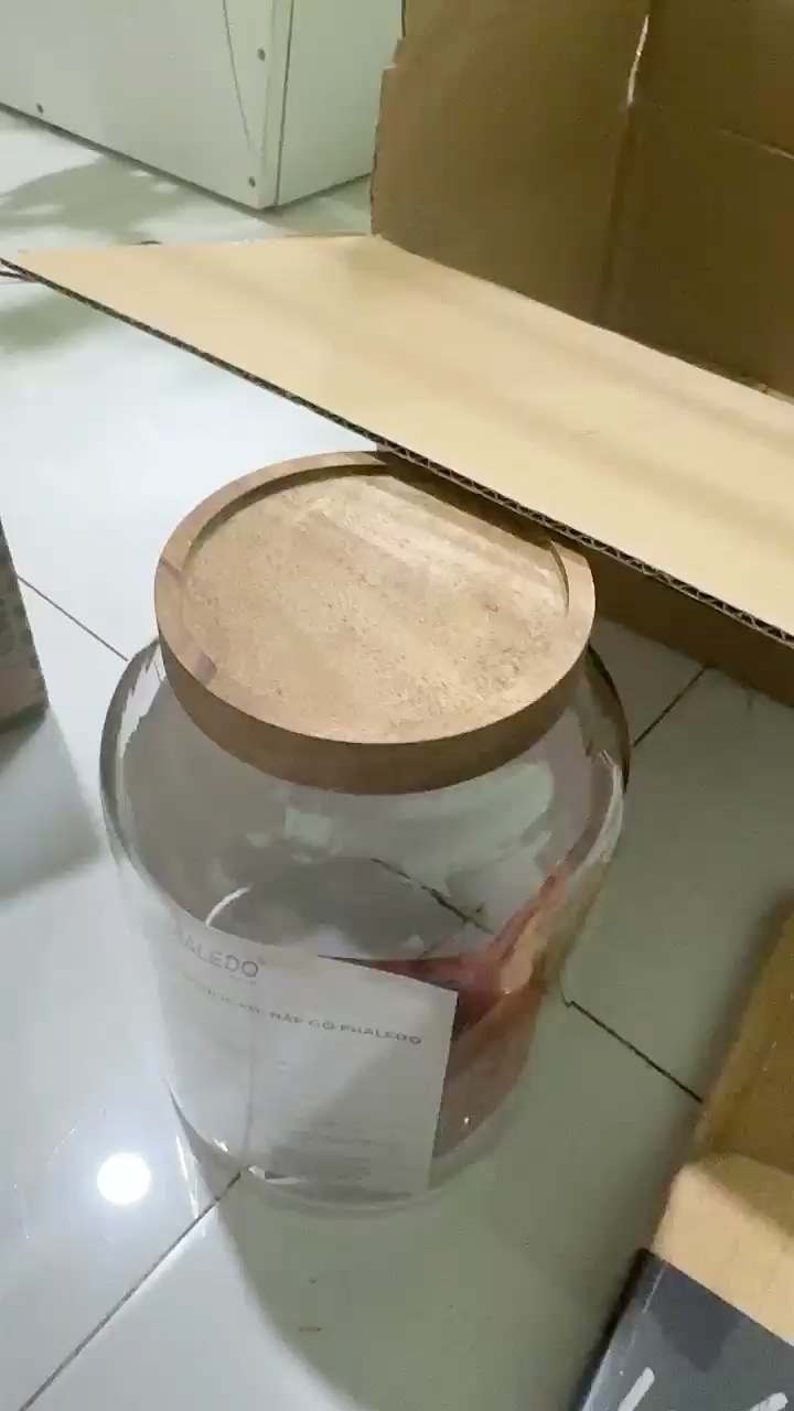Video đánh giá