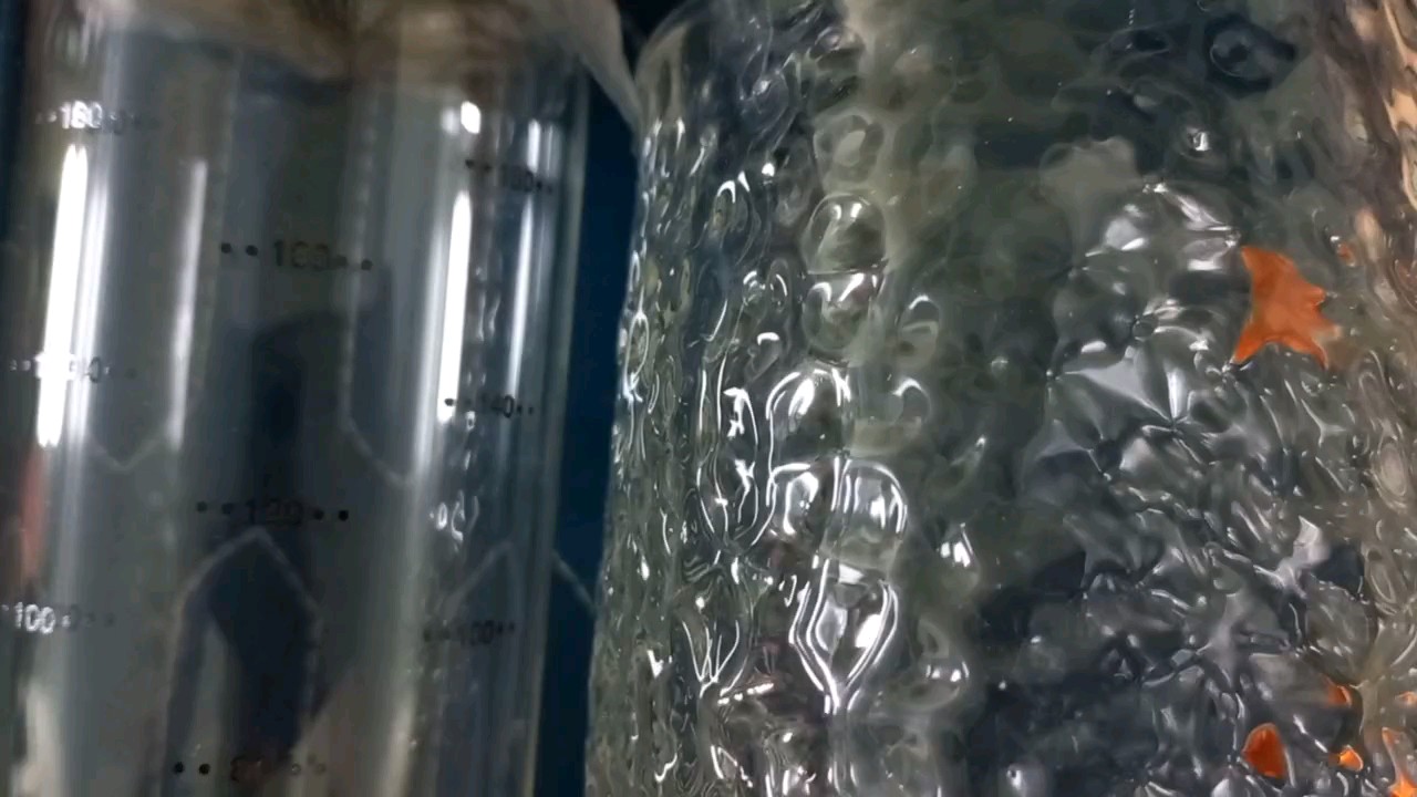 Video đánh giá