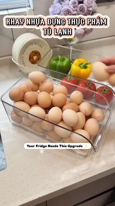 Khay nhựa đựng thực phẩm tủ lạnh #ShopeeVideo #ShopeeCreator #LuotVuiMuaLien #VideoHangGiaDung
