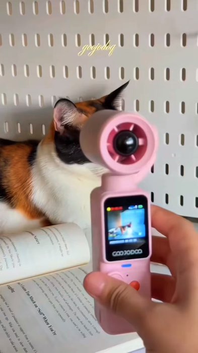 Quạt camera Goojodoq #ShopeeVideo #sugarthichreview #quatcamera #goojodoq