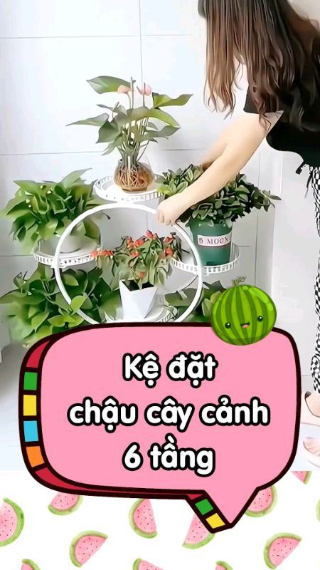 Kệ đặt chậu cây #NgoiSaoTiemNang #viral #xuhuong #VideoHangGiaDung #SandealcungKOL #LuotVuiMuaLien #HangMoiVe #ShopeeVideo #ShopeeCreator #KOLUyTin