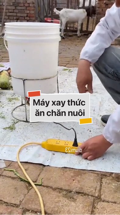 Máy xay thức ăn chăn nuôi #VideohangDoiSong#ShopeeVideo#ShopeeCreator #LuotVuiMuaLien#KOLUyTin#Videomuasam #SandealcungKOL #diumi240