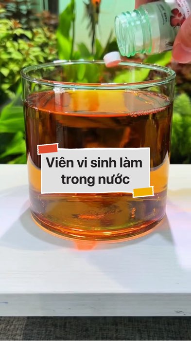 Viên vi sinh làm trong nước bể cá #VideohangDoiSong#ShopeeVideo#ShopeeCreator #LuotVuiMuaLien#KOLUyTin#Videomuasam #SandealcungKOL #diumi360