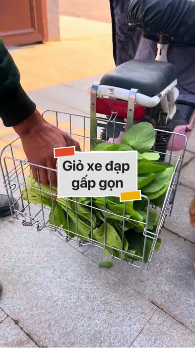 ￼Giỏ xe đạp gấp gọn #VideohangDoiSong#ShopeeVideo#ShopeeCreator #LuotVuiMuaLien#KOLUyTin#Videomuasam #SandealcungKOL #diumi865