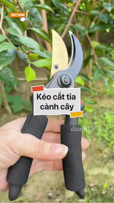 Kéo cắt tỉa cành cây #VideohangDoiSong#ShopeeVideo#ShopeeCreator #LuotVuiMuaLien#KOLUyTin#Videomuasam #SandealcungKOL #diumi949