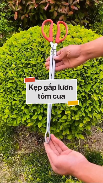 Kẹp gắp lươn tôm cua #VideohangDoiSong#ShopeeVideo#ShopeeCreator #LuotVuiMuaLien#KOLUyTin#Videomuasam #SandealcungKOL #diumi168