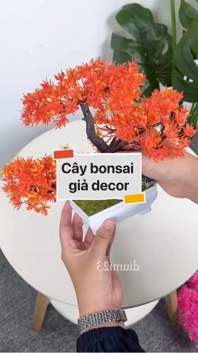Cây bonsai giả decor #VideohangDoiSong#ShopeeVideo#ShopeeCreator #LuotVuiMuaLien#KOLUyTin#Videomuasam #SandealcungKOL #diumi735