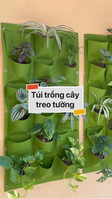 Túi trồng cây treo tường #VideohangDoiSong#ShopeeVideo#ShopeeCreator #LuotVuiMuaLien#KOLUyTin#Videomuasam #SandealcungKOL #diumi797