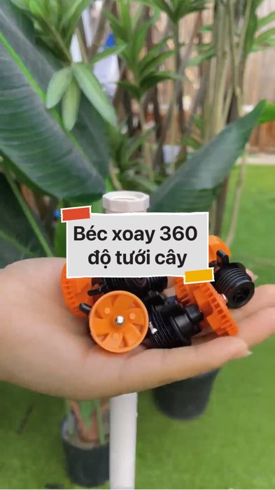 Béc xoay 360 độ tưới cây #VideohangDoiSong#ShopeeVideo#ShopeeCreator #LuotVuiMuaLien#KOLUyTin#Videomuasam #SandealcungKOL #diumi25