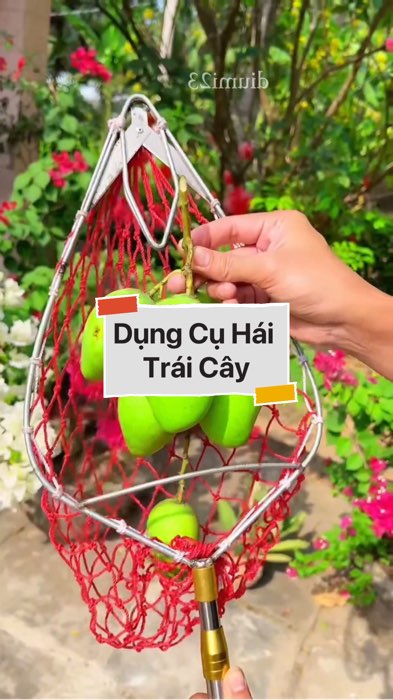 ￼Dụng Cụ Hái Trái Cây