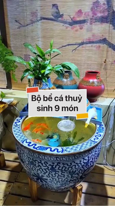 Bộ bể cá thuỷ sinh 9 món #VideohangDoiSong#ShopeeVideo#ShopeeCreator #LuotVuiMuaLien#KOLUyTin#Videomuasam #SandealcungKOL #diumi231