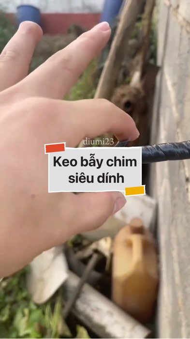 Keo bẫy chim siêu dính #VideohangDoiSong#ShopeeVideo#ShopeeCreator #LuotVuiMuaLien#KOLUyTin#Videomuasam #SandealcungKOL #diumi252