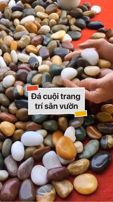 Đá cuội trang trí sân vườn #VideohangDoiSong#ShopeeVideo#ShopeeCreator #LuotVuiMuaLien#KOLUyTin#Videomuasam #SandealcungKOL #diumi408