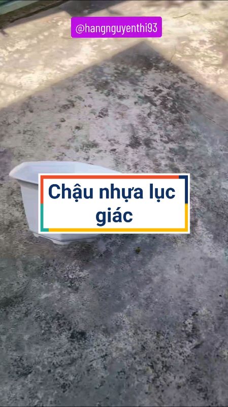 Chậu nhựa lục giác #Videohangnhacua #KOLUyTin #shopeecreator #xuhuong #ShopeeVideo #hangmoive #luotvuimualien #shopxuhuong #videomuasam #chau #dodung