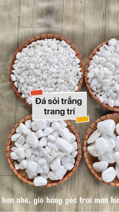 ￼Đá sỏi trắng trang trí #VideohangDoiSong#ShopeeVideo#ShopeeCreator #LuotVuiMuaLien#KOLUyTin#Videomuasam #SandealcungKOL #diumi487