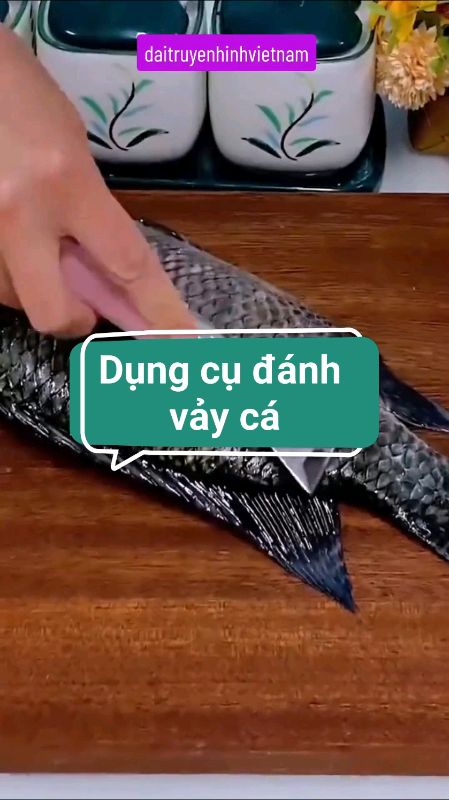Dụng cụ đánh vảy cá #Videohangnhacua #KOLUyTin #shopeecreator #xuhuong #ShopeeVideo #hangmoive #luotvuimualien #shopxuhuong #videomuasam #dungcu