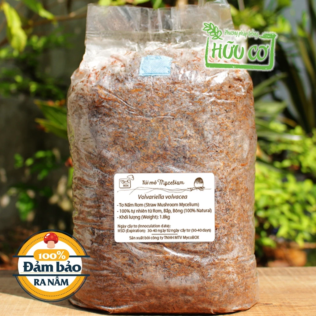 Mua Phôi Nấm Rơm ở đâu tại Thái Nguyên giá rẻ và chất lượng