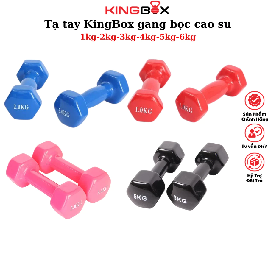 Tạ Tập Gym Tại Nhà KingBox,Tạ Tay Chất Liệu Gang Bọc Cao Su Chống Xước Vỡ Sàn Cân Nặng 1-6kg