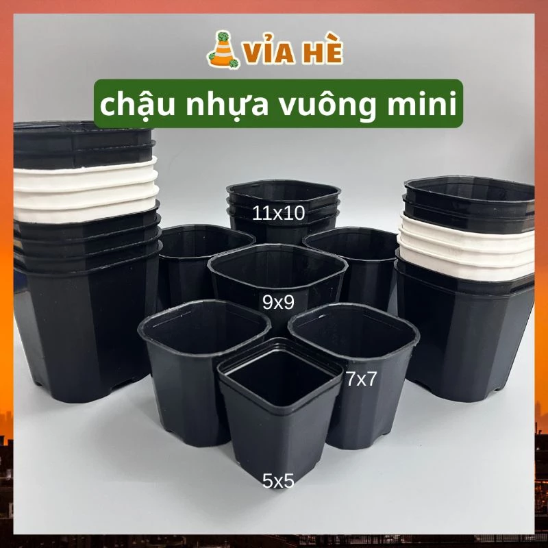 Chậu nhựa vuông cứng đen trắng mini Vỉa Hè Garden, trồng cây sen đá và xương rồng bonsai, 5x5, 7x7, 9x9, 11x10