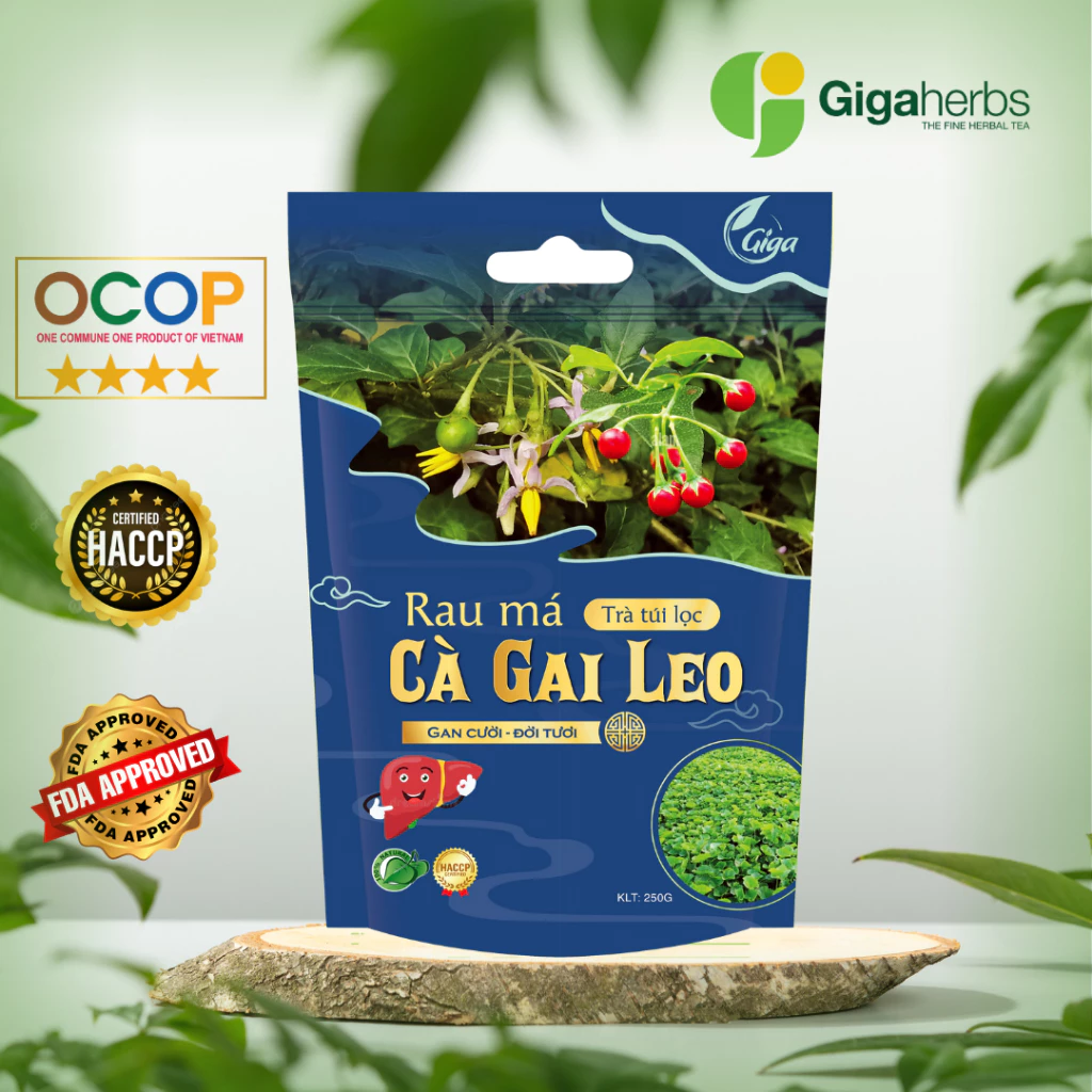 Trà Túi Lọc Rau Má Cà Gai Leo GIGA , Cà Gai Leo - giúp thanh nhiệt, tăng cường chức năng gan, hạ men gan (250g/túi)