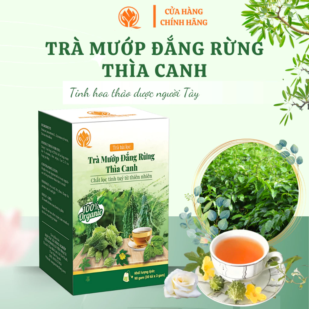 Trà đường huyết Khổ qua rừng Thìa canh - Hỗ trợ tiểu đường, huyết áp cao