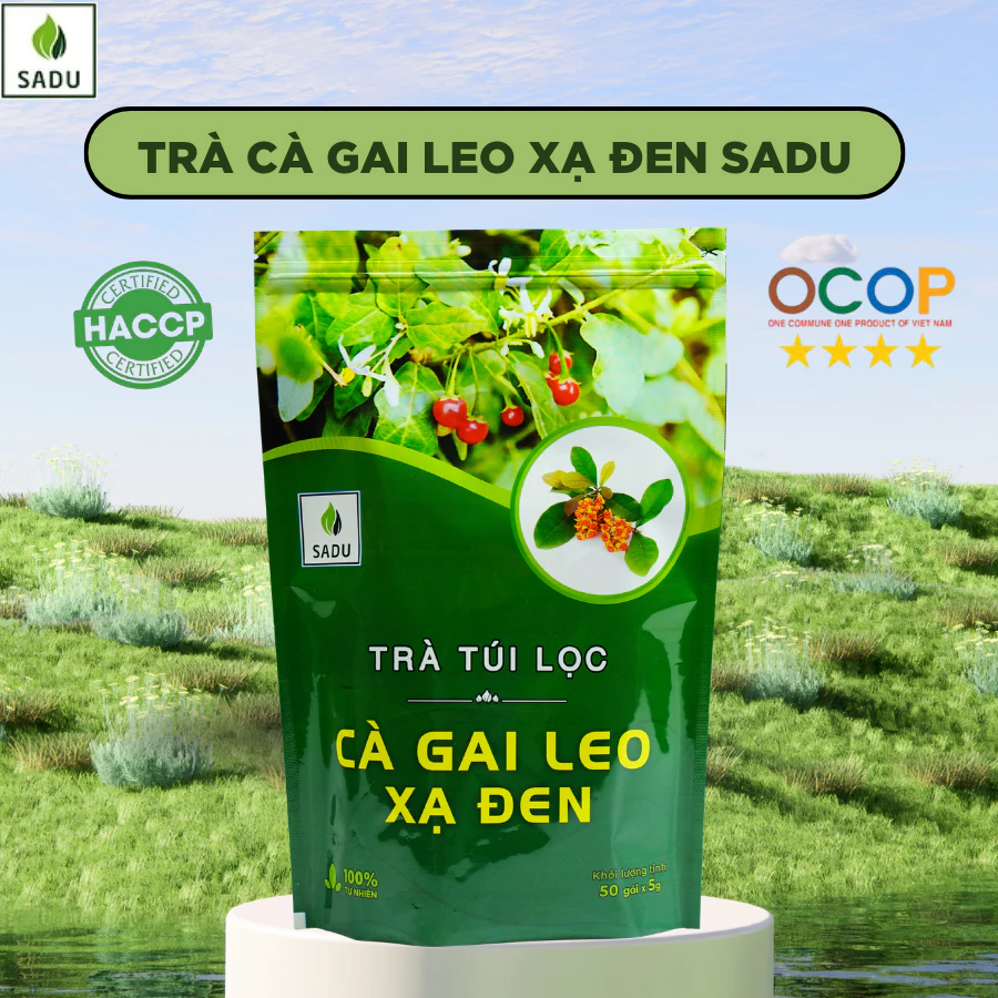 Trà Cà Gai Leo Xạ Đen Túi Lọc Sadu Mát Gan - Hỗ Trợ Nóng Trong, Mẩn Ngứa,Sử Dụng Rượu Bia
