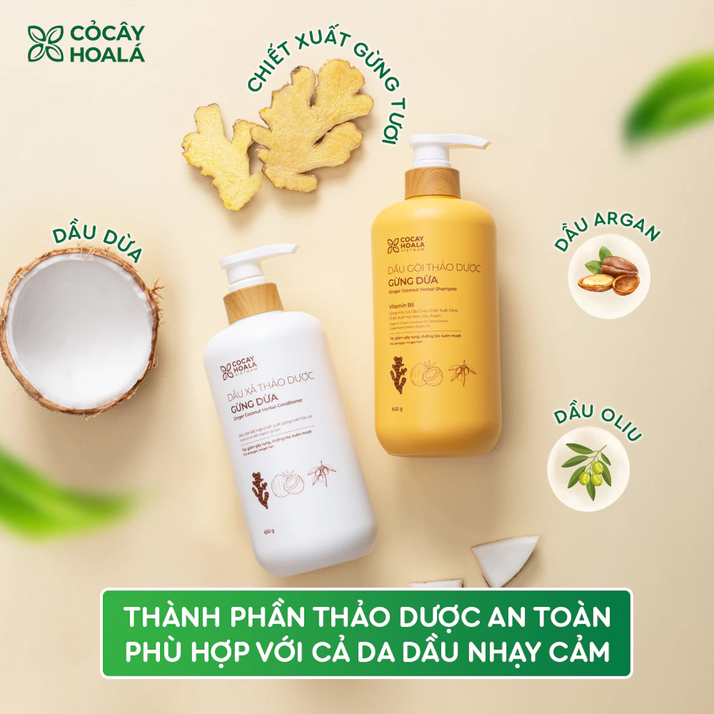15.3 Combo Dầu Gội Xả Thảo Dược Gừng Dừa Cỏ Cây Hoa Lá - 650g/chai Tặng Kèm Túi Vải