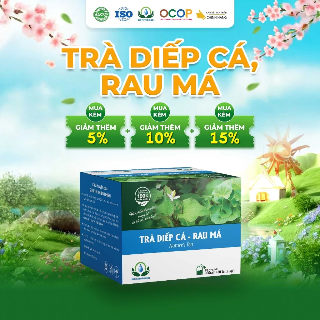 Hộp 30 Túi Lọc Trà Diếp Cá Rau Má Siêu Thị Thiên Nhiên