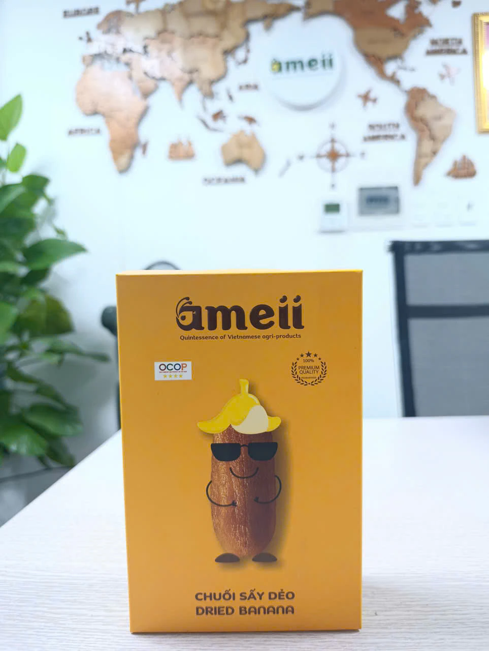 Công ty cổ phần Ameii Việt Nam